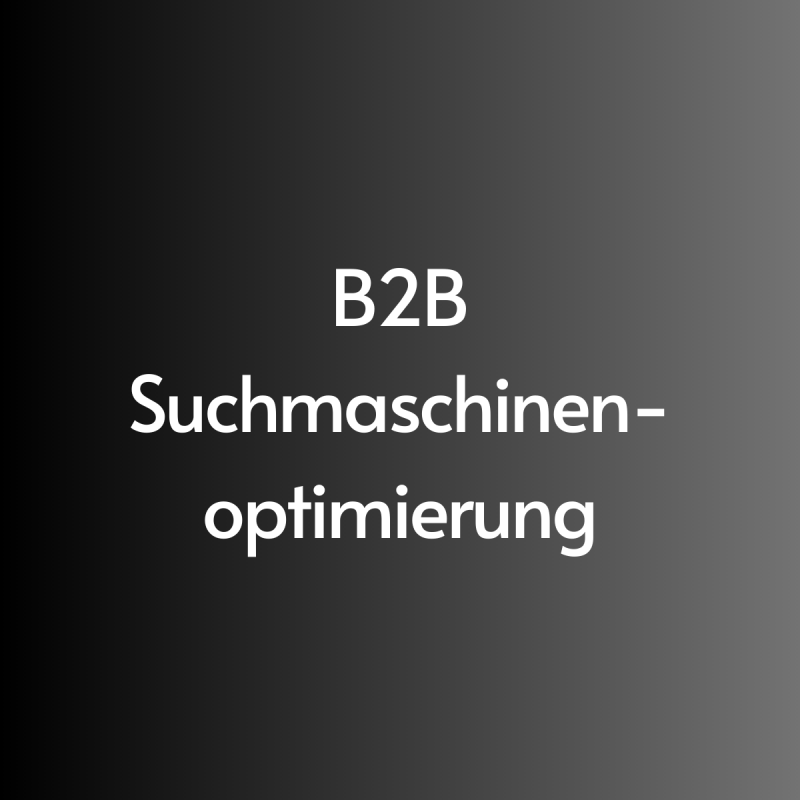 B2B Suchmaschinenoptimierung