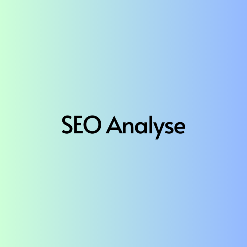 SEO Analyse