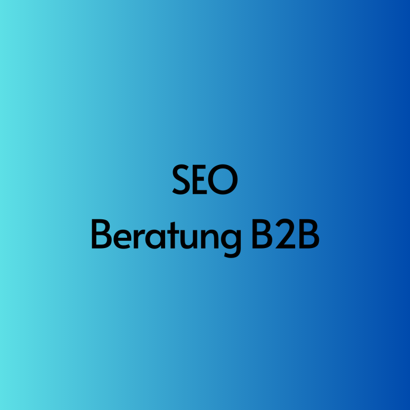 SEO Beratung B2B