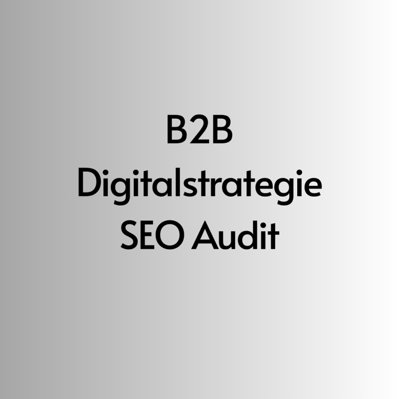 B2B Digitalstrategie SEO Audit